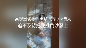 番號xh06：黑絲美乳小情人迫不及待把我推倒沙發上