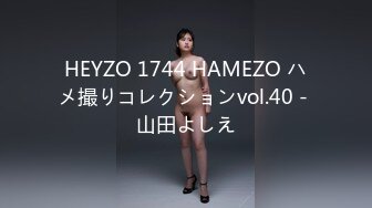 HEYZO 1744 HAMEZO ハメ撮りコレクションvol.40 - 山田よしえ