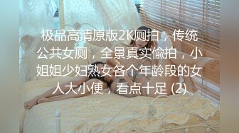 极品高清原版2K厕拍，传统公共女厕，全景真实偸拍，小姐姐少妇熟女各个年龄段的女人大小便，看点十足 (2)