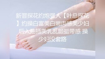 新晋探花约炮强人【叶总探花】约操白富美白嫩肉感美少妇 后入抽插美乳乱颤挺带感 操少妇没套路