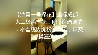 【渣男一号探花】坐标成都，大二极品学妹，KTV饮酒调情，水蜜桃大胸粉嫩坚挺，口交抚摸淫荡刺激