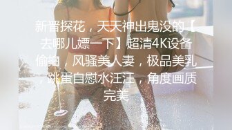 新晋探花，天天神出鬼没的【去哪儿嫖一下】超清4K设备偷拍，风骚美人妻，极品美乳，跳蛋自慰水汪汪，角度画质完美