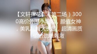 【文轩探花】（第二场）3000高价外围小姐姐，颜值女神，美乳翘臀大长腿，超清画质偷拍劲爆刺激