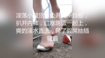 淫荡小骚货，公共厕所自慰，扒开内裤，肛塞跳蛋一起上，爽的淫水直流，带了假屌抽插骚逼