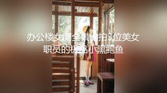 办公楼女厕全景偷拍3位美女职员的极品小黑鲍鱼